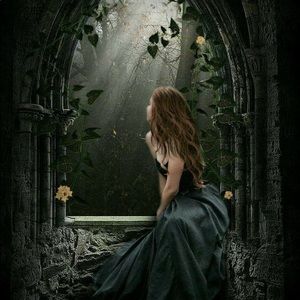 Meet your Posher, Maeve